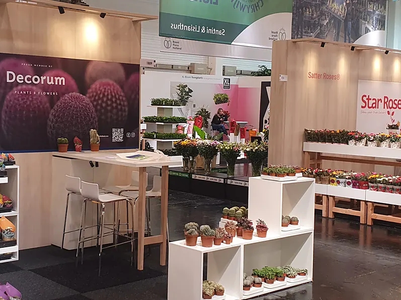 Decorum and Star Roses stands with plant racks and flowers on the exhibition floor